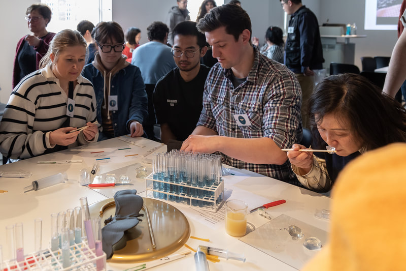 Bat Brunch Lab photo 33